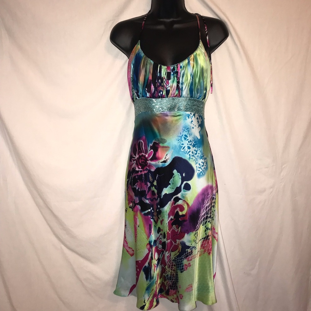 Camille la vie gown excellent used once